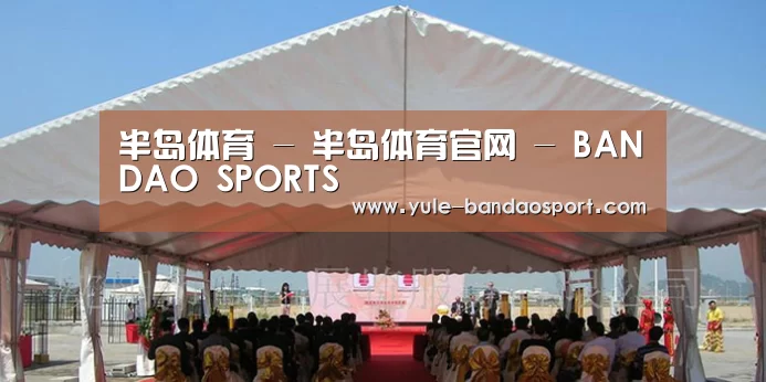 案例标题三